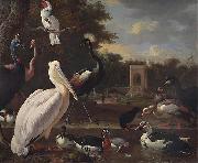 unknow artist A Pelican and other exotic birds in a park painting